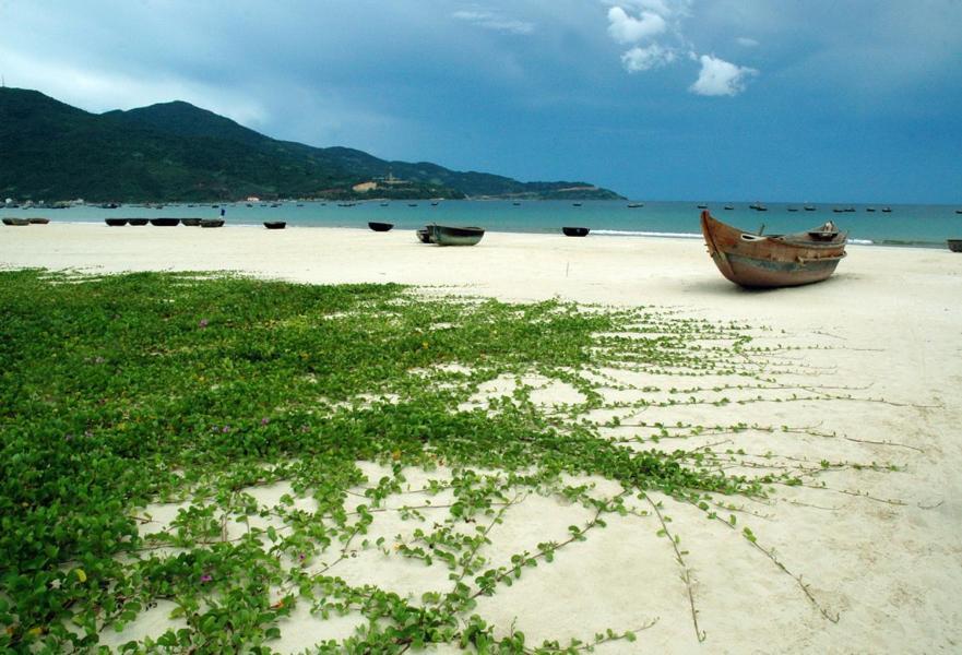 Fstay - Cozy And Peaceful Homestay Da Nang Eksteriør bilde
